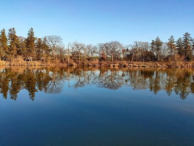 🏞️ 사이코・도만 그린 파크